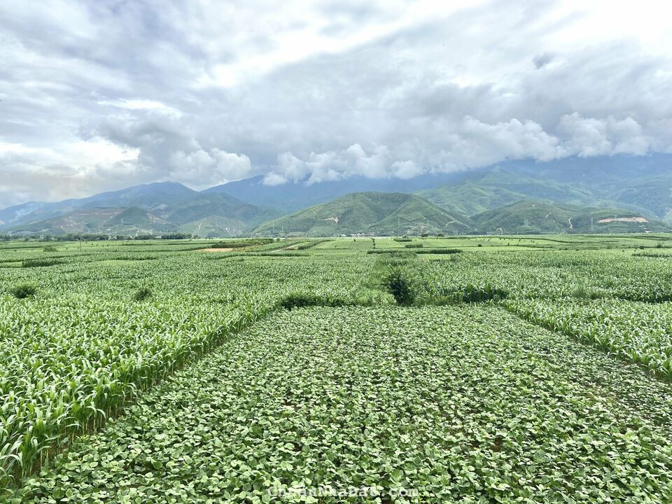 Đất nền KCN Nghĩa Hiệp - Đồng Quang Đại Lộc