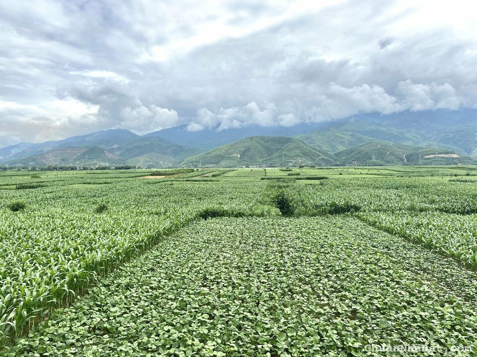 Đất nền KCN Nghĩa Hiệp - Đồng Quang