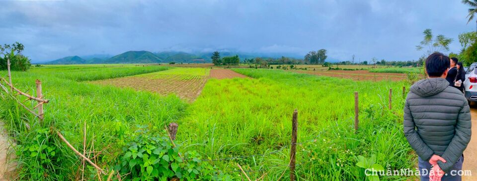 Đất nền Đại Hồng ngay vành đai công nghiệp Bắc Quảng Nam Đất nền Đại Hồng ngay vành đai công nghiệp Bắc Quảng Nam