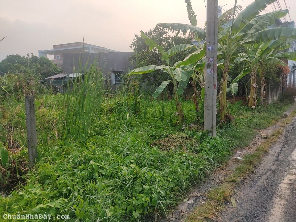    Bán lô đất 1/ ngắn đường phạm thị trâm Bình Mỹ