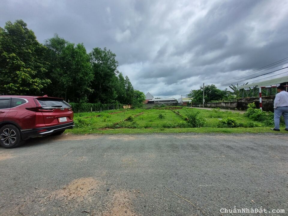 Sỉ 3 lô mặt tiền nhựa 20m mặt tiền Long Tân - Đất Đỏ giá F0 Sỉ 3 lô mặt tiền nhựa 20m mặt tiền Long Tân - Đất Đỏ giá F0