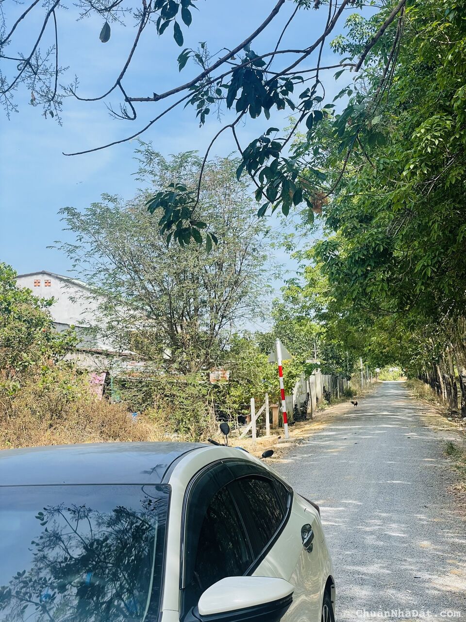 Chuyển nhà sang Cam bán lại nền đất gần quốc lộ