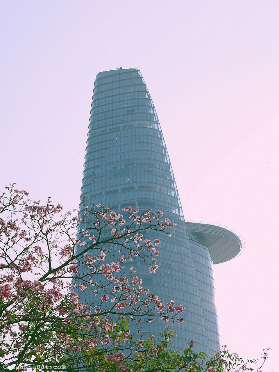 CHO THUÊ MT THƯƠNG HIỆU ĐƯỜNG NGUYỄN ĐÌNH CHIỂU PHƯỜNG BẾN NGHÉ QUẬN 1 CHO THUÊ MT THƯƠNG HIỆU ĐƯỜNG NGUYỄN ĐÌNH CHIỂU PHƯỜNG BẾN NGHÉ QUẬN 1