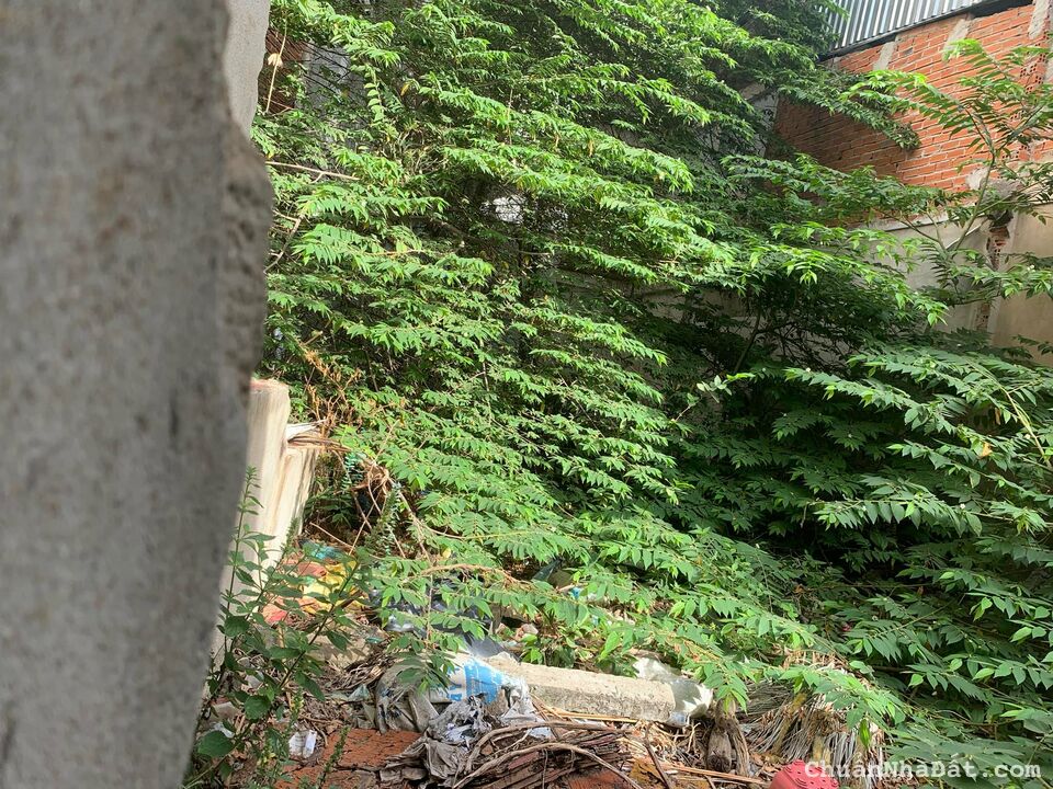 Đất mặt tiền trung tâm Q10-ngang 8.4m-kinh doanh siêu đỉnh Đất mặt tiền trung tâm Q10-ngang 8.4m-kinh doanh siêu đỉnh