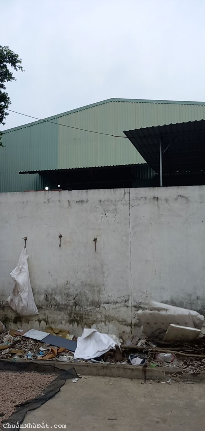 Nhà xưởng 1/ đường chính quách điêu, vĩnh lộc A. 20x45 shr 19 tỷ 500tr