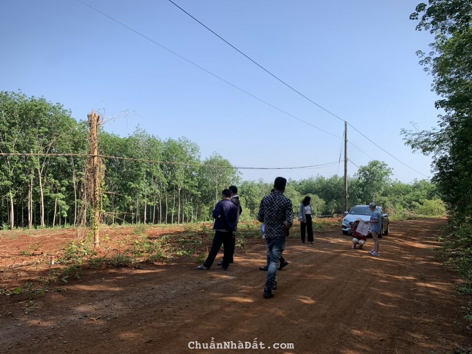 Cần Bán Gấp Lô Đất  Gần Doanh Trại Quân Đội Hớn Quản - Bình Phước 