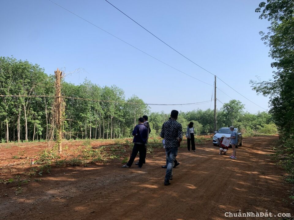 Cần Bán Gấp 4 Lô Đất Đối Diện Sân Bay Hớn Quản - Bình Phước HH 3% Giới Thiệu