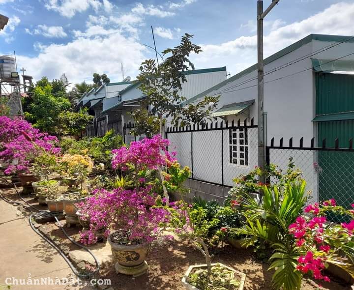 Bán đất có sẳn dòng tiền cho thuê TT Lộc Thắng, Bảo Lâm, Lâm Đồng