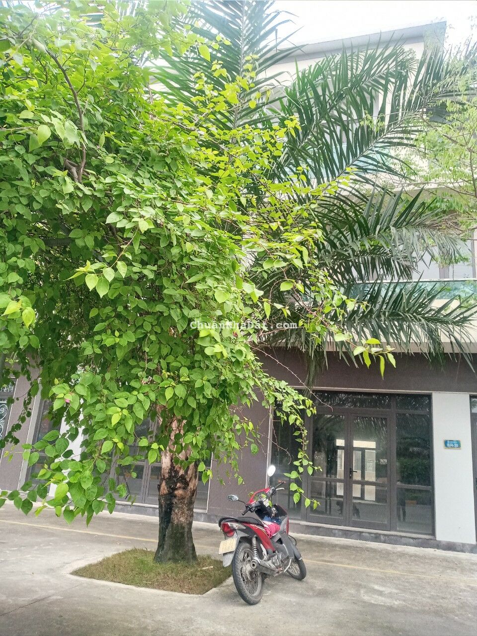 Mặt đường đại lộ 6 làn xe. Đối diện khu liên hợp thể thao VSIP. Shophouse giá chỉ nhỉnh 12.