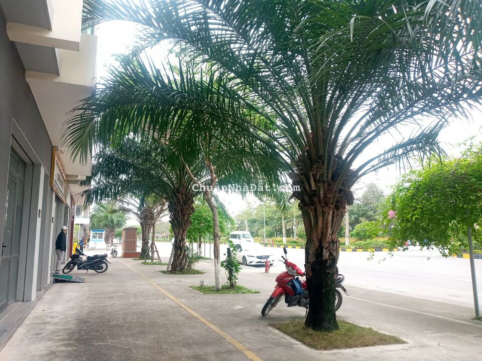 Mặt đường đại lộ 6 làn xe. Đối diện khu liên hợp thể thao VSIP. Shophouse giá chỉ nhỉnh 12.