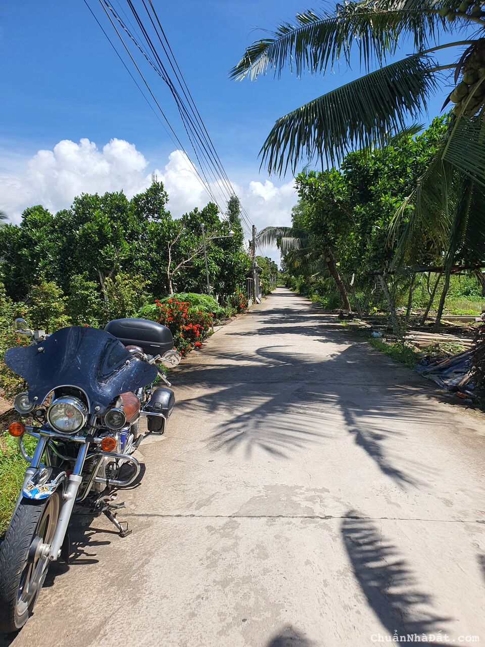 BÁN ĐẤT 1.785,5M2 (14,5M X 95M), NỞ HẬU 20M. CÓ 120M2 ODT RẠCH XẺO LÁ, PHÚ THỨ, CẦN THƠ. GIÁ 8TỶ