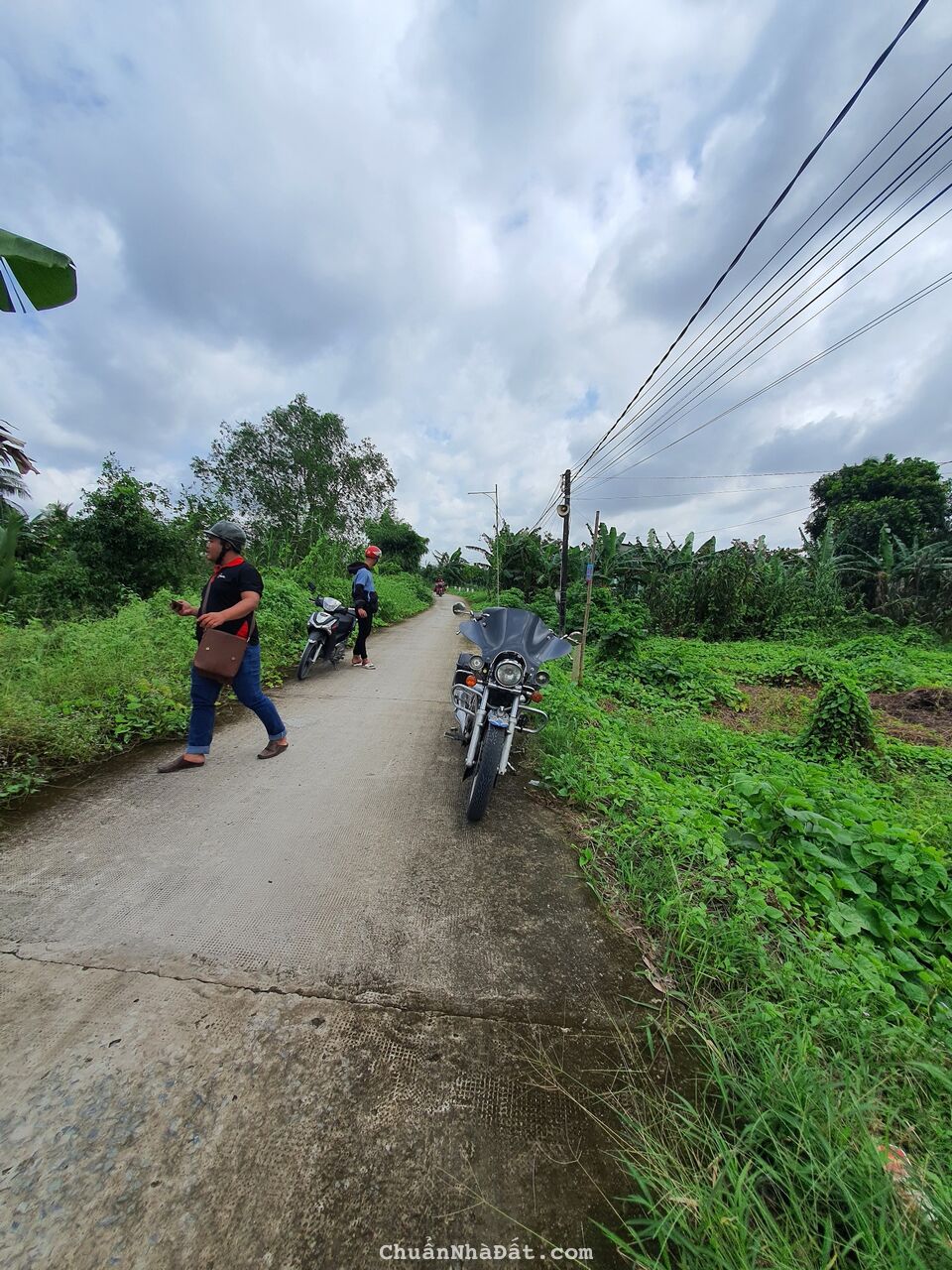 GIẢM 70TR CÒN 720TR BÁN ĐẤT 8M X 24M = 188.5M2 CLN (THỰC TẾ >200M2), RẠCH ĐƯỜNG GỖ, CÁI RĂNG. GIẢM 70TR CÒN 720TR BÁN ĐẤT 8M X 24M = 188.5M2 CLN (THỰC TẾ >200M2), RẠCH ĐƯỜNG GỖ, CÁI RĂNG.
