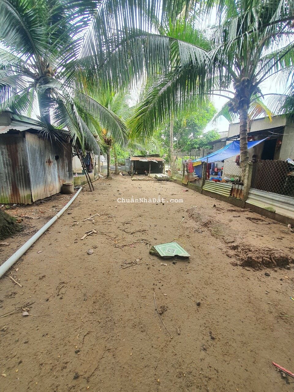 ĐẤT NỞ HẬU ĐẸP, GIÁ TỐT, 4TR/M2 (5,8M X 46,5M = 309M2 CLN, HẬU 7,5M), LỘ Ô TÔ, RẠCH ĐƯỜNG GỖ, PHÚ THỨ, CÁI RĂNG, CẦN THƠ (1TỶ 50TRIỆU)