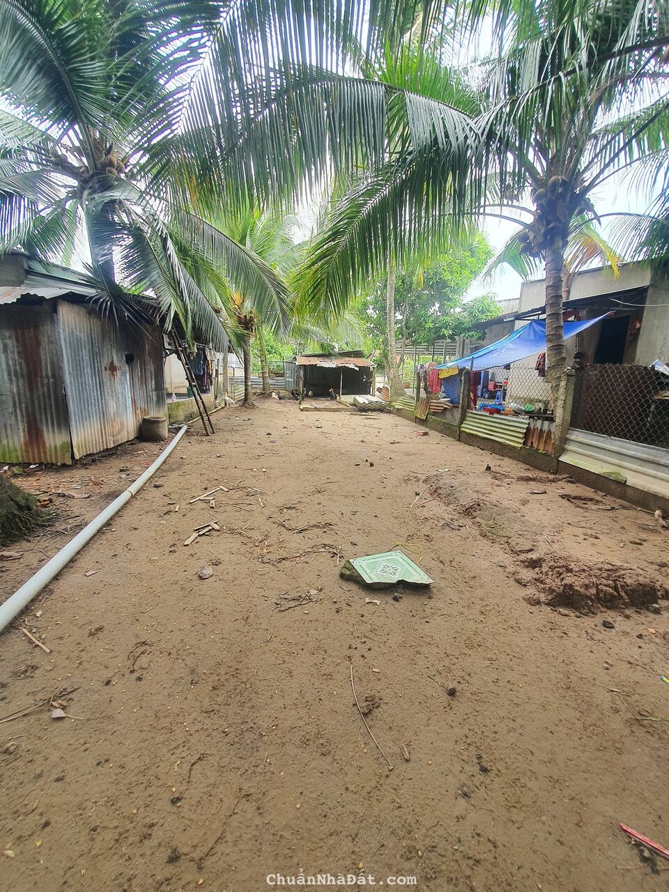 BÁN ĐẤT 5,8M X 46,5M = 309M2 CLN (NỞ HẬU 7,5M) RẠCH ĐƯỜNG GỖ, PHÚ THỨ, CÁI RĂNG, CẦN THƠ. GIÁ 1,2TỶ