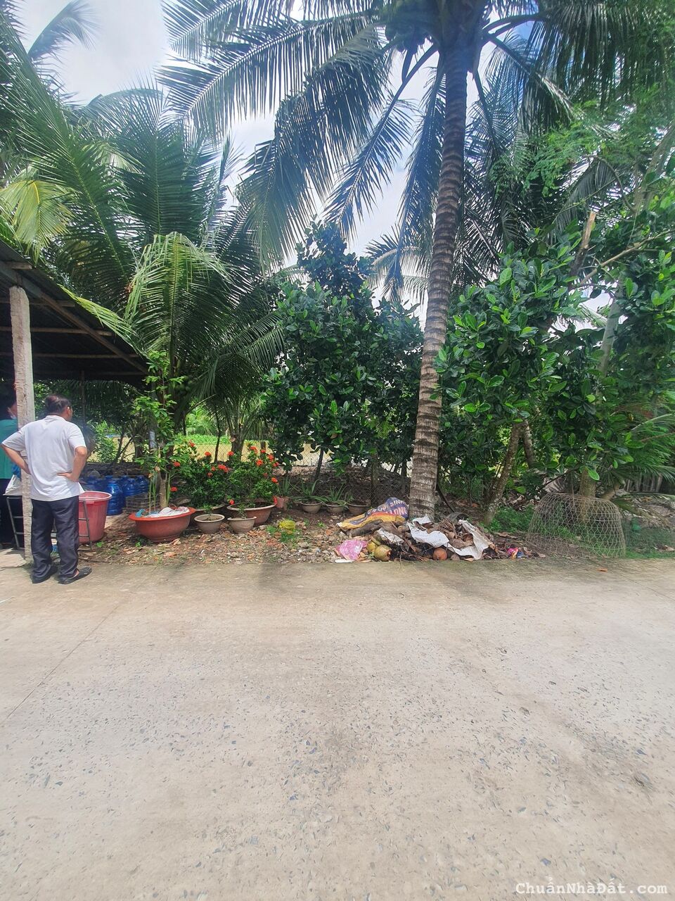 BÁN ĐẤT 5,8M X 46,5M = 309M2 CLN (NỞ HẬU 7,5M) RẠCH ĐƯỜNG GỖ, PHÚ THỨ, CÁI RĂNG, CẦN THƠ. GIÁ 1,2TỶ