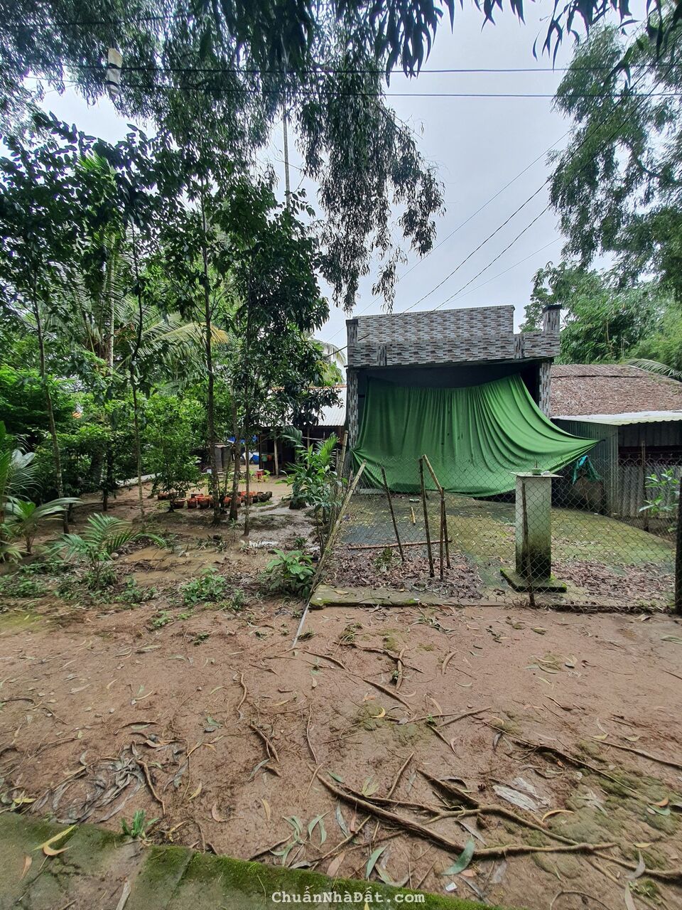 Đất 37M x 270M2 = 10.076M2 (300M2TC) Rạch Cái Muông Cụt, cách TT. Ngã 6, Châu Thành, Hậu Giang 2km Đất 37M x 270M2 = 10.076M2 (300M2TC) Rạch Cái Muông Cụt, cách TT. Ngã 6, Châu Thành, Hậu Giang 2km