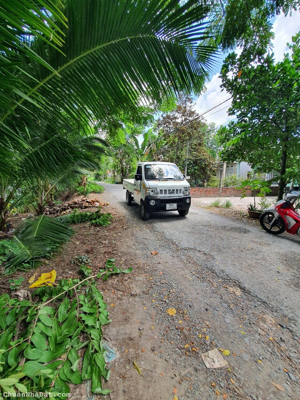 ĐẤT ĐẸP 5M X 31M = 156,8M2 (100M2 TC). GIÁ TỐT CHỈ 900TR, LỘ GIỚI 17M CÁI CHANH - ĐÔNG PHÚ, CHÂU THÀNH, HẬU GIANG (cách chợ Cái Chanh 900m)