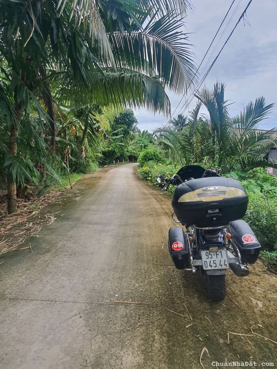 550TR ĐẤT NỀN CÁI RĂNG 4,6 X 39 = 160M2 CLN, LỘ Ô TÔ, ĐƯỜNG TRƯƠNG VĨNH NGUYÊN, CẦN THƠ 550TR ĐẤT NỀN CÁI RĂNG 4,6 X 39 = 160M2 CLN, LỘ Ô TÔ, ĐƯỜNG TRƯƠNG VĨNH NGUYÊN, CẦN THƠ