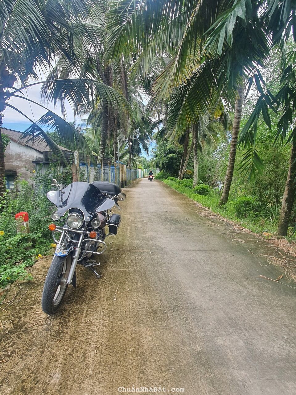 550TR ĐẤT NỀN CÁI RĂNG 4,6 X 39 = 160M2 CLN, LỘ Ô TÔ, ĐƯỜNG TRƯƠNG VĨNH NGUYÊN, CẦN THƠ 550TR ĐẤT NỀN CÁI RĂNG 4,6 X 39 = 160M2 CLN, LỘ Ô TÔ, ĐƯỜNG TRƯƠNG VĨNH NGUYÊN, CẦN THƠ