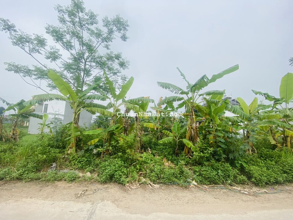 Bán đất đấu giá view vườn hoa Tân Ngọc, Bá Hiến, Bình Xuyên, Vĩnh Phúc. Lh: 0986934038