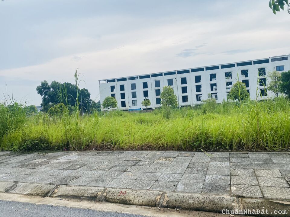 Bán đất giá rẻ cắt lỗ trong khu đô thị Park Hill Thành Công, Định Trung, Vĩnh Yên. Lh: 0986934038