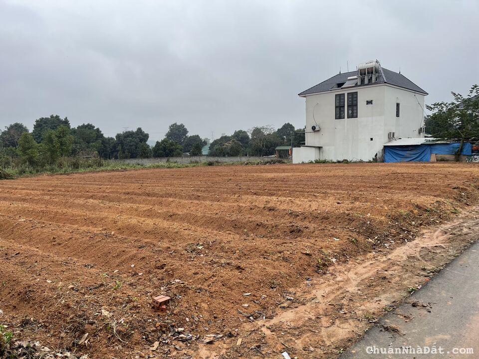 Bán 715,6m2 đất rộng tại Đạo Tú, Hướng Đạo, Tam Dương, Vĩnh Phúc. Lh: 0986934038