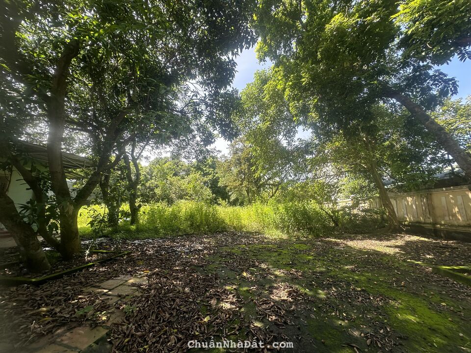 Bán 1000m2 đất trung tâm Liên Bảo, Vĩnh Yên, Vĩnh Phúc