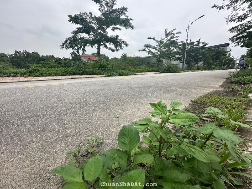 Bán đất dịch vụ Lai Sơn, Đồng Tâm, Vĩnh Yên, Vĩnh Phúc. Lh: 0986934038