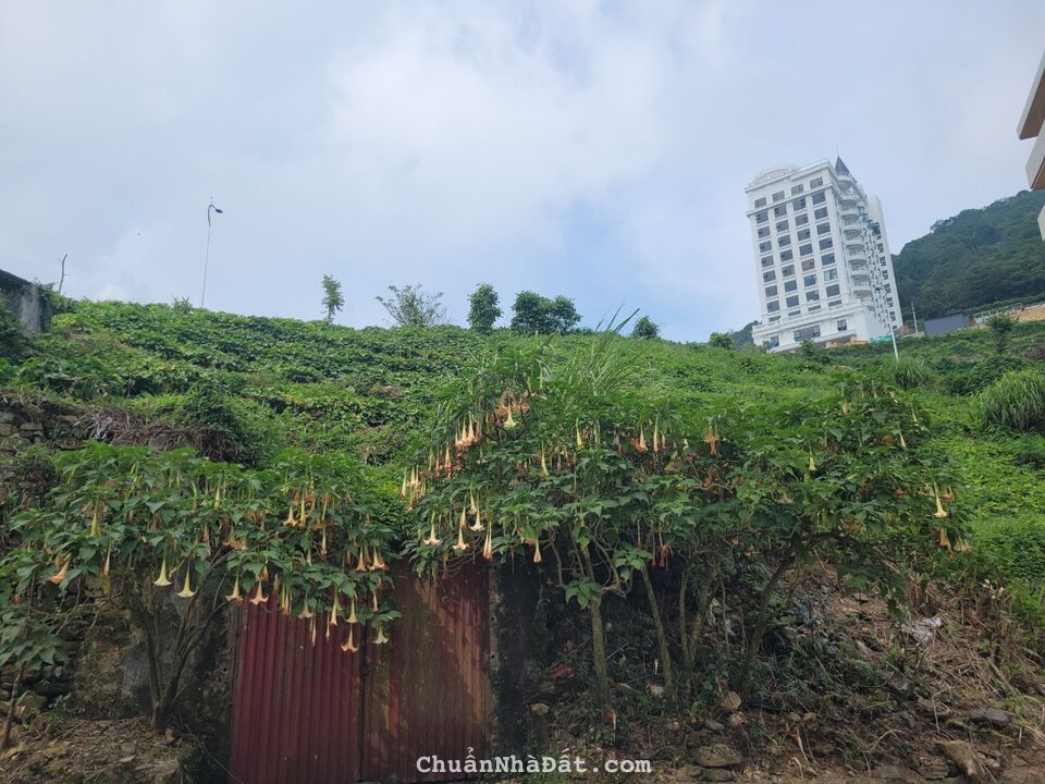 Bán 1200m2 đất thương mại dịch vụ lâu dài tại thị trấn Tam Đảo, Vĩnh Phúc. Lh: 0986934038