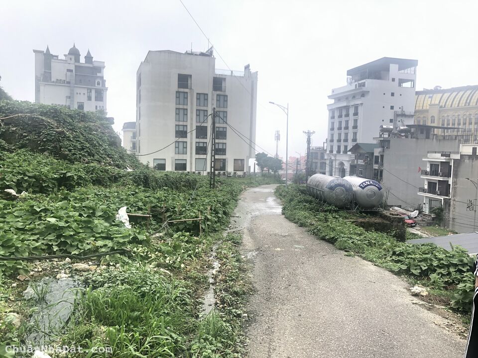 Bán 233m2 đất thôn 1 thị trấn Tam Đảo, huyện Tam Đảo, Vĩnh Phúc. Lh: 0986934038 Bán 233m2 đất thôn 1 thị trấn Tam Đảo, huyện Tam Đảo, Vĩnh Phúc. Lh: 0986934038