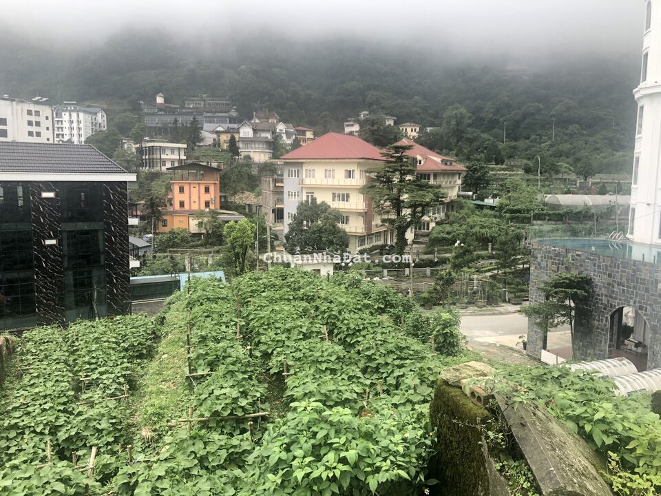 Bán 233m2 đất thôn 1 thị trấn Tam Đảo, huyện Tam Đảo, Vĩnh Phúc. Lh: 0986934038 Bán 233m2 đất thôn 1 thị trấn Tam Đảo, huyện Tam Đảo, Vĩnh Phúc. Lh: 0986934038