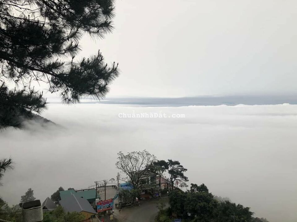 Bán đất thương mại dịch vụ thị trấn Tam Đảo, huyện Tam Đảo, Vĩnh Phúc. Lh: 0986934038