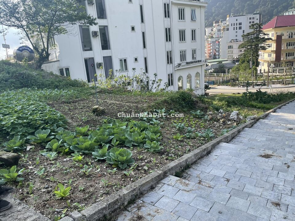 Bán 440,8m2 đất thương mại dịch vụ lâi dài thị trấn Tam Đảo, Tam Đảo, Vĩnh Phúc. Lh: 0986934038