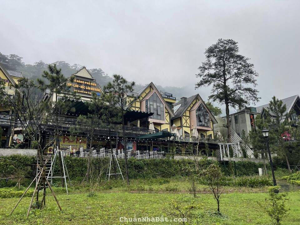 Bán hàng víp 623m2 đất trên đỉnh núi Tam Đảo, thị trấn Tam Đảo, Vĩnh Phúc Bán hàng víp 623m2 đất trên đỉnh núi Tam Đảo, thị trấn Tam Đảo, Vĩnh Phúc