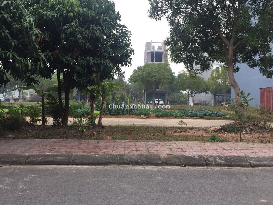 Bán đất khu D Nam Đầm Vạc , Vĩnh Yên, Vĩnh Phúc. Lh: 0986934038 Bán đất khu D Nam Đầm Vạc , Vĩnh Yên, Vĩnh Phúc. Lh: 0986934038