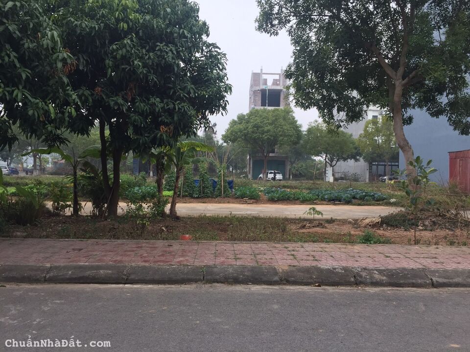 Bán đất khu D Nam Đầm Vạc , Vĩnh Yên, Vĩnh Phúc. Lh: 0986934038 Bán đất khu D Nam Đầm Vạc , Vĩnh Yên, Vĩnh Phúc. Lh: 0986934038