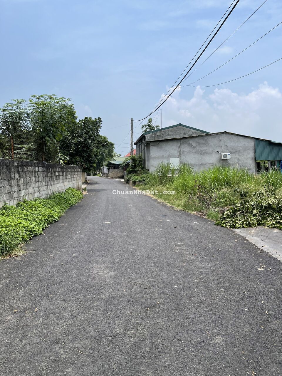 Bán đất thôn Cõi, xã Đạo Tú, huyện Tam Dương, tỉnh Vĩnh Phúc. Lh: 0986934038 Bán đất thôn Cõi, xã Đạo Tú, huyện Tam Dương, tỉnh Vĩnh Phúc. Lh: 0986934038