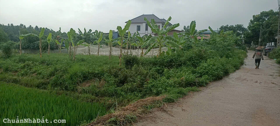 Bán 2382m2 đất full thổ cư tại thôn Quế, Hướng Đạo, Tam Dương, Vĩnh Phúc.