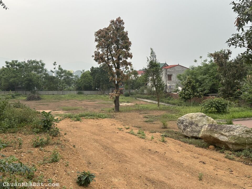 Bán đất rộng làm biệt thự nhà vườn tại Hữu Thủ, Kim Long, Tam Dương, Vĩnh Phúc. Lh: 0986934038