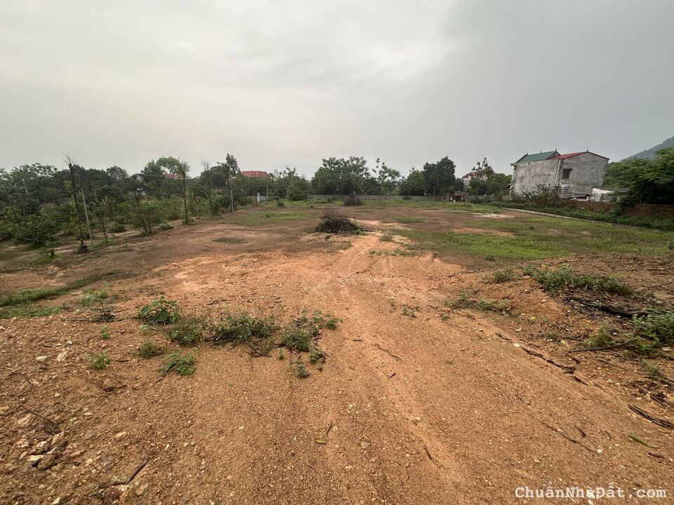 Bán đất rộng làm biệt thự nhà vườn tại Hữu Thủ, Kim Long, Tam Dương, Vĩnh Phúc. Lh: 0986934038