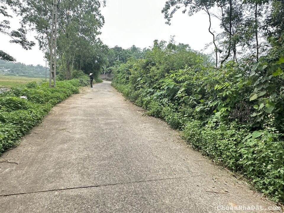 Bán đất rộng xây nhà trọ tại thôn Quế, Hướng Đạo Tam Dương, Vĩnh Phúc