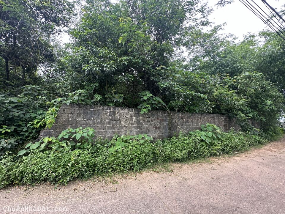 Bán đất rộng xây nhà trọ tại thôn Quế, Hướng Đạo Tam Dương, Vĩnh Phúc