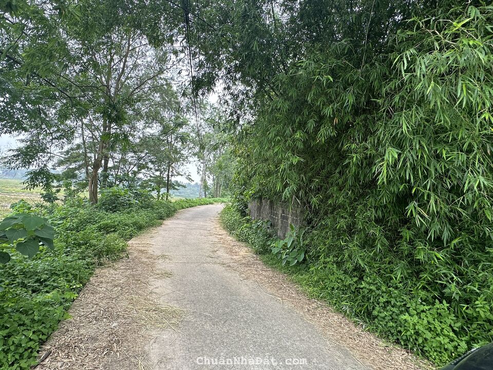 Bán đất rộng xây nhà trọ tại thôn Quế, Hướng Đạo Tam Dương, Vĩnh Phúc