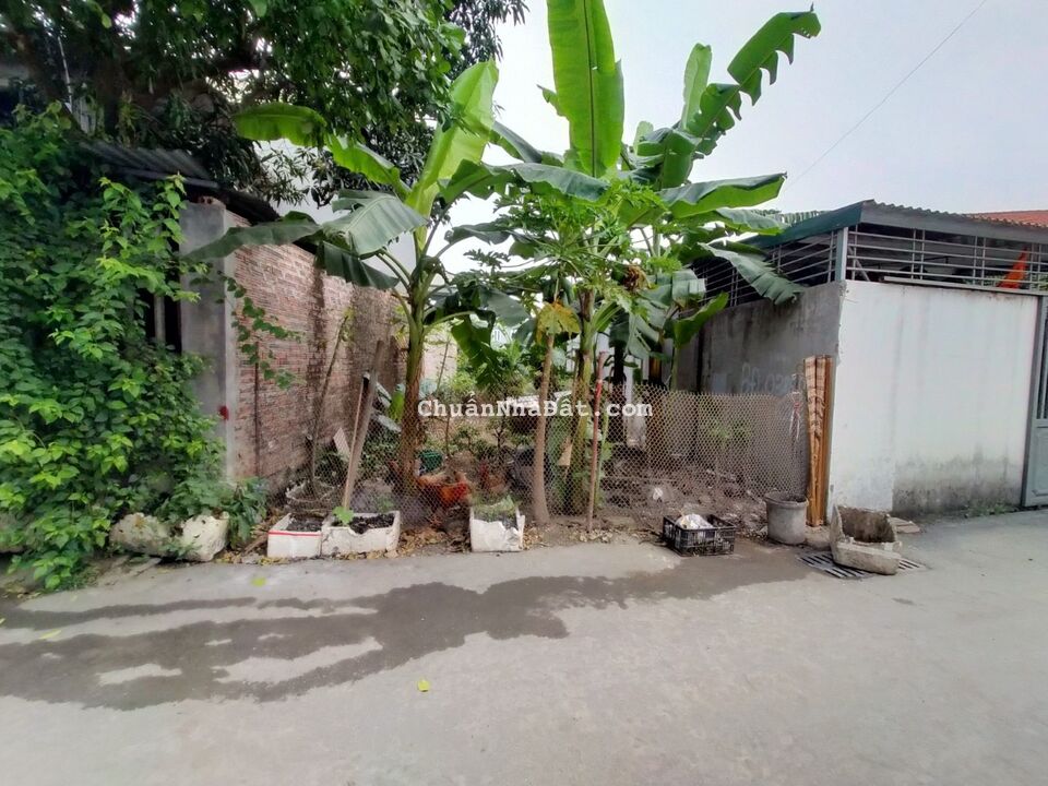 Bán đất giá cực rẻ full thổ cư  TDP Núi, Hội Hợp, Vĩnh Yên, Vĩnh Phúc