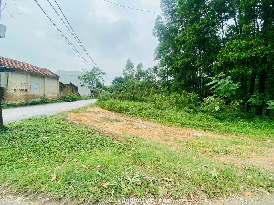Cần bán nhanh ô đất góc trên trục đường đôi Cầu Bút, Định Trung, Vĩnh Yên, Vĩnh Phúc