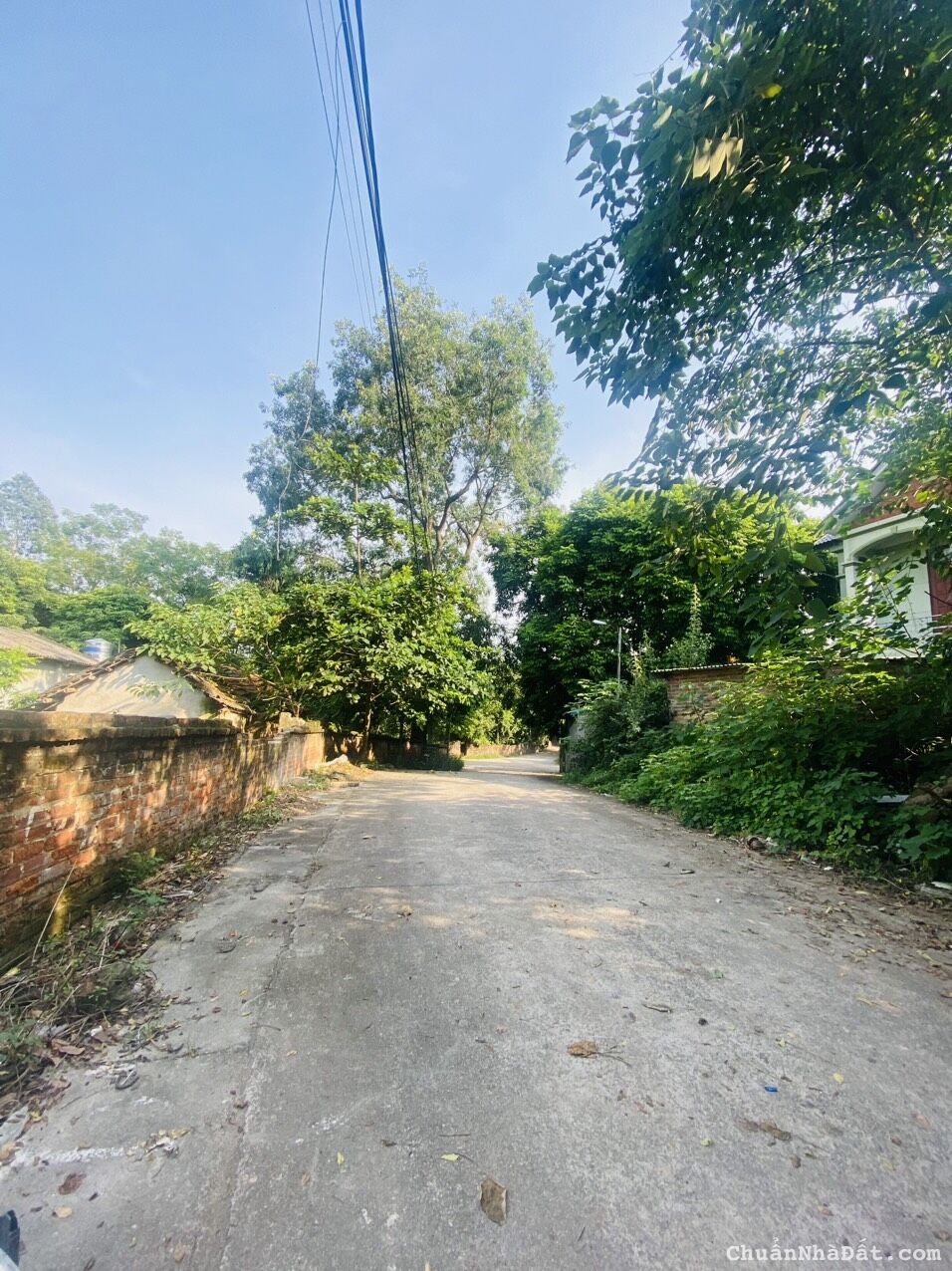 Bán ô đất 217m2 đầu tư cực đẹp tại xóm Chùa, Định Trung, Vĩnh Yên, Vĩnh Phúc. Lh: 0986934038