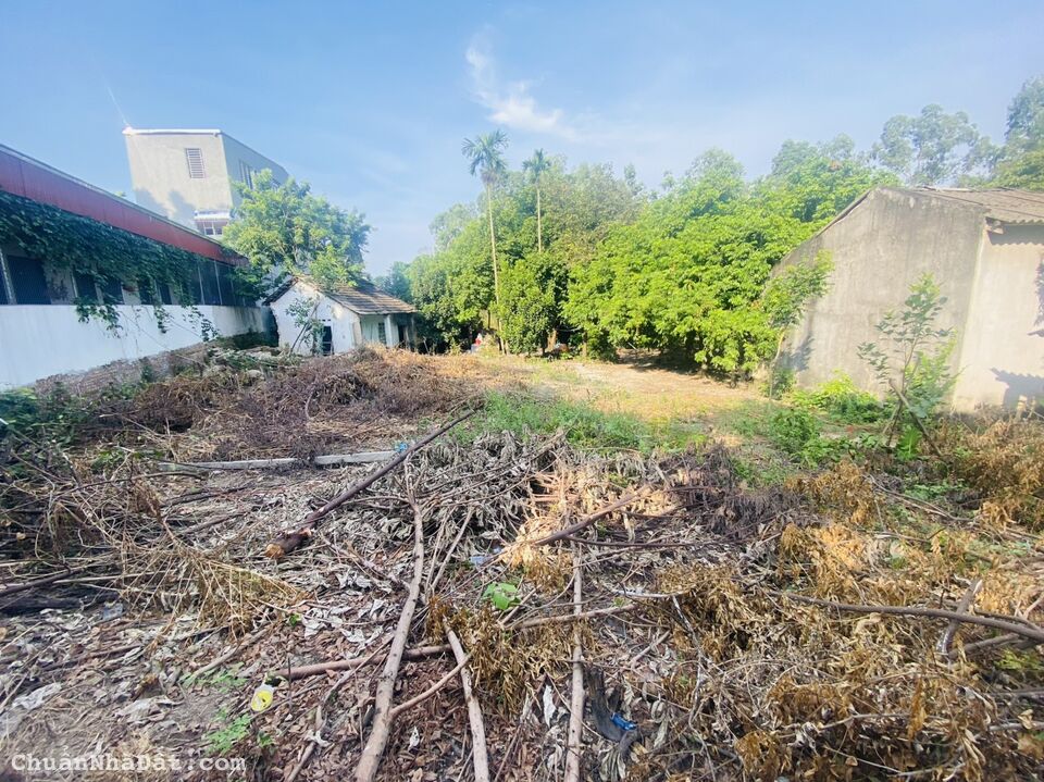 Bán ô đất 217m2 đầu tư cực đẹp tại xóm Chùa, Định Trung, Vĩnh Yên, Vĩnh Phúc. Lh: 0986934038