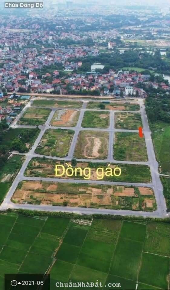 Bán đất đấu giá Đồng Gáo, Hội Hợp, Vĩnh Yên, Vĩnh Phúc. Lh: 0986934038