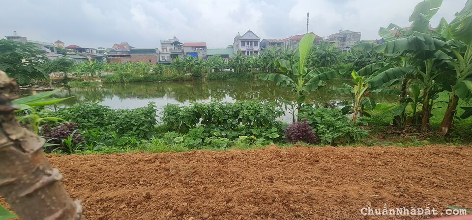 Bán đất dịch vụ Tích Sơn, Tích Sơn , Vĩnh Yên, Vĩnh Phúc. Lh: 0986934038