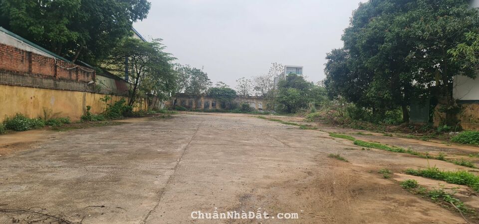 Bán ô đất thương mại dịch vụ mặt đường Nguyễn Tất Thành, Tích Sơn, Vĩnh Yên. Lh: 0986934038